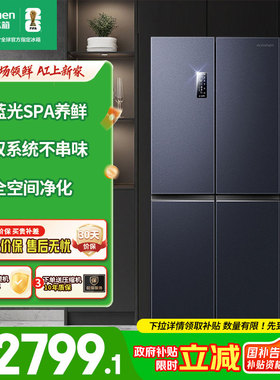 容声513WD17FP十字四门风冷无霜双系统循环家用嵌入式冰箱