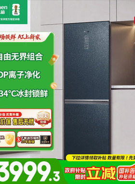 容声415WKR1DPGA双门IDP双净一级风冷组合装门店同款