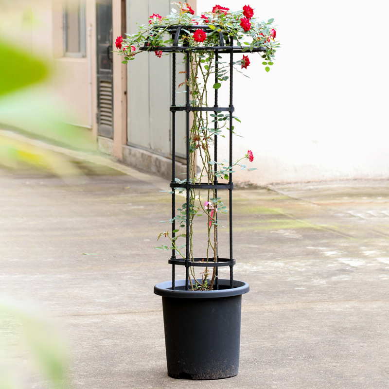 爬藤架铁线莲月季攀爬架伞形庭院伞型单圈架子款蘑菇头固定绿植