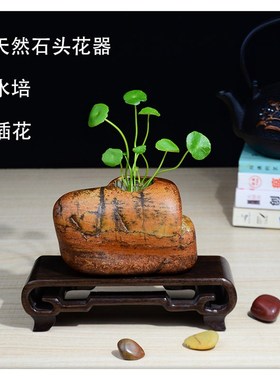 HP002天然石头大化石大湾石鹅卵石铜钱草绿萝花器花盆干花插花瓶