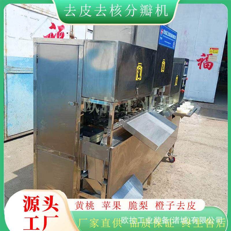 两工位削皮去核设备 全自动去核加工生产线 商用水果去皮去核机