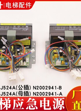 电梯应急电源N2002941-A/B DY-DJ524A停电灯电池12V-24V适用日立