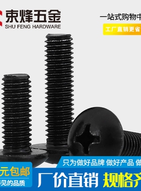 M5M6 黑色304不锈钢十字大扁头机螺钉 镀黑锌蘑菇头大扁头螺丝钉