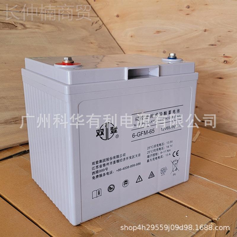 双登双登蓄电蓄电6-GFM-652直流屏1V65AH风能变桨X光扫室1池2V100