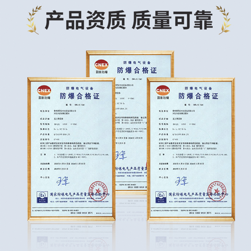 磁翻板远传变送器磁性浮球液位计捆绑式4-20mA干簧管传感器RS485