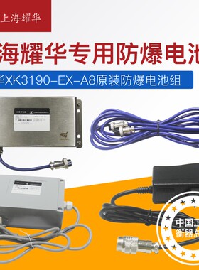 上海耀华XK3190-EX-A8防爆仪表本安电池本安电源电子秤显示器电池
