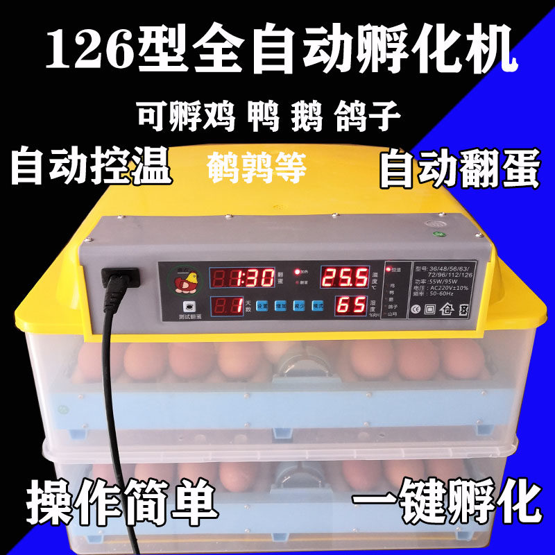优选迷你孵化电抱鸡器自动孵化小鸡小鸡孵化器便宜卵小鸡