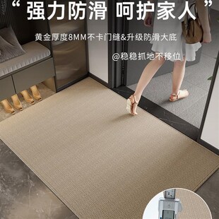高级入户地垫入户门地毯门口脚垫门垫可裁剪新款 客厅进门防滑垫子