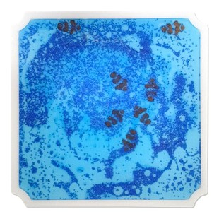 恒赋感官垫适配攀爬架儿童多功能感统训练爬行视觉触觉感官发育