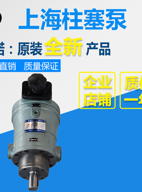 10SCYc/25SCY/40SCY/63SCY/80SCY/100SCY/160SCY14-1B上海柱塞油