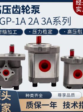 HGP-2A-F2R F3R F4R F5R F6R F8R F9R F11R F12R 齿轮泵 GPY系列