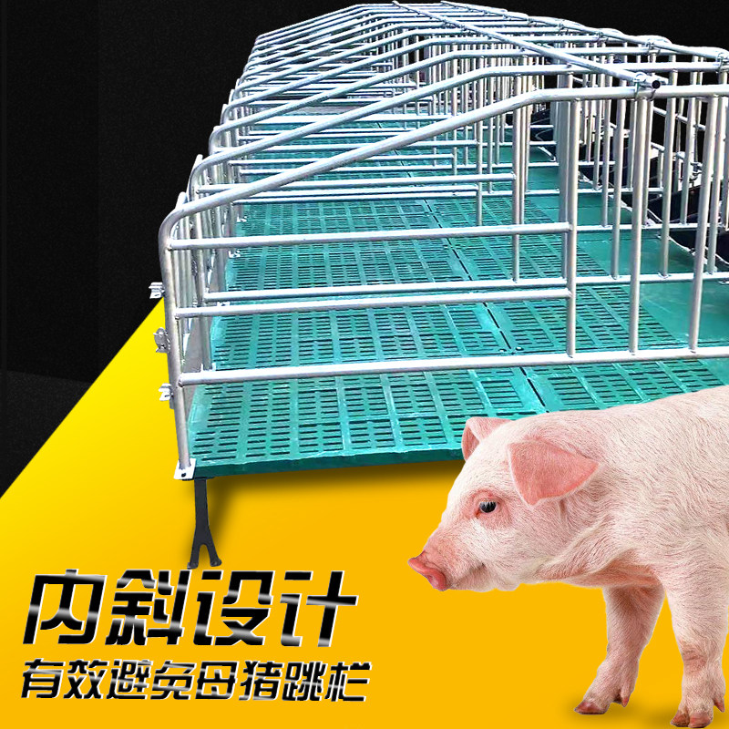 母猪定位栏加厚保育养猪产床落地式养殖场用设备猪围栏限位栏