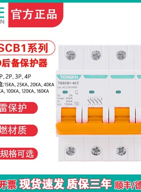 TENGEN天正TGSCB1电涌浪涌后备保护器SPD防避雷器4P前端分断开关