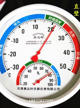 指针式温湿度计温湿表干湿计精准高精度工业家用挂壁药店WS-2000