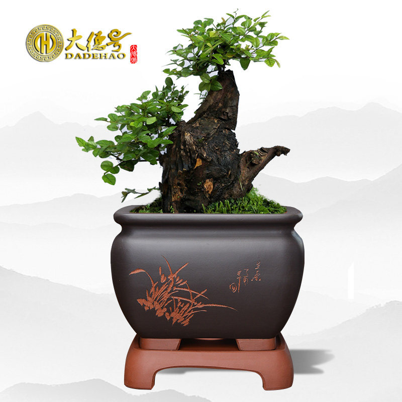 紫砂花盆四方形盆景盆陶瓷简约复古粉浆刻绘吊兰大号兰花盆带托盘