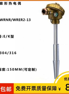 上海仪表 双支热电偶wrnr2-13 K分度 L=480MM 0-565℃ 锥形保护管