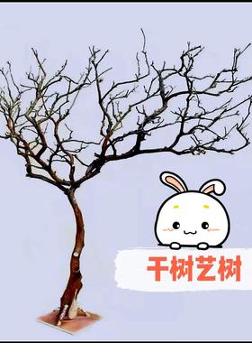 白色干干树枝造景干干燥树枝树干许愿树枯树室内造型树枝干原木树