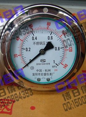 富阳宏盛仪表全不锈钢耐震轴向带前边压力表YN-100BFZT 0-1MPA/