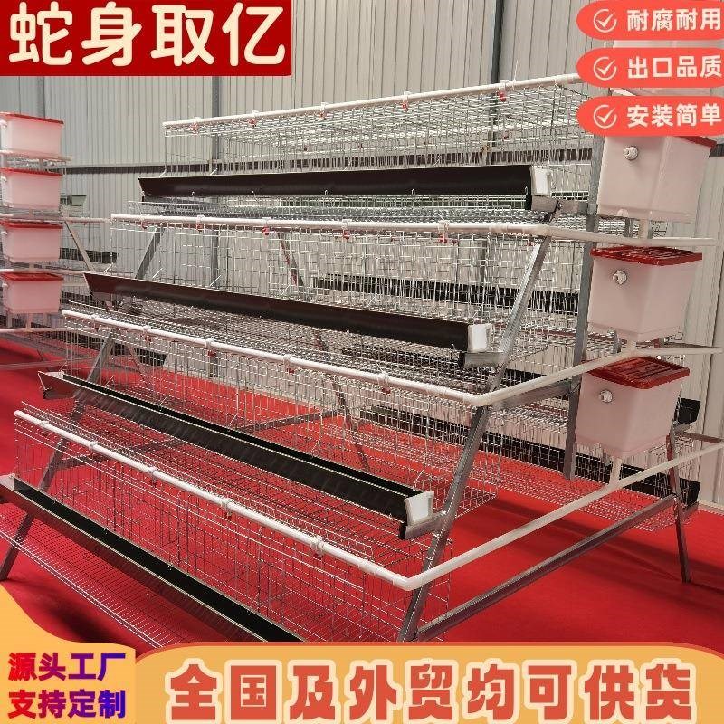 阶梯式蛋鸡笼四层五门鸡笼子肉鸡笼雏鸡笼绿食槽现货养殖自动化
