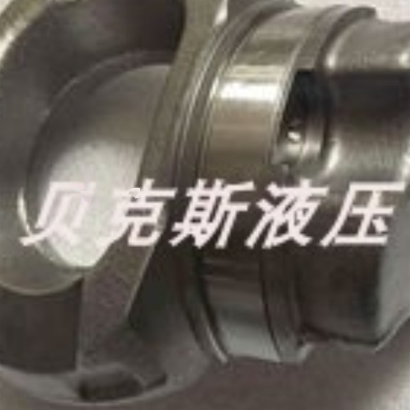 力士乐A11VG12/19/50 PUMP新配件泵维修配油盘回程盘传动轴控制