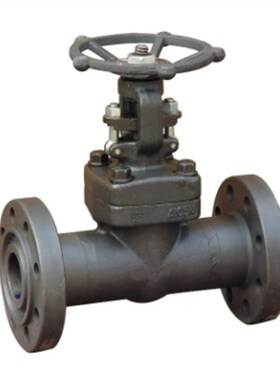 高压闸阀Z41H/Y-64/100 A105 高压锻钢锻打法兰闸阀DN15 20 25