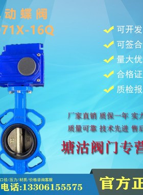 电动对夹蝶阀D971X-16Q天津塘沽塘阀TWT瓦特斯沪工一阀DN65100
