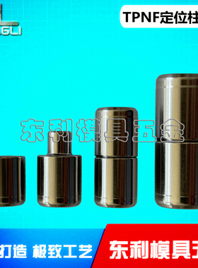 米思米标准TPNF精定位销组件 模具直身导柱辅助器 TPNF圆形定位柱
