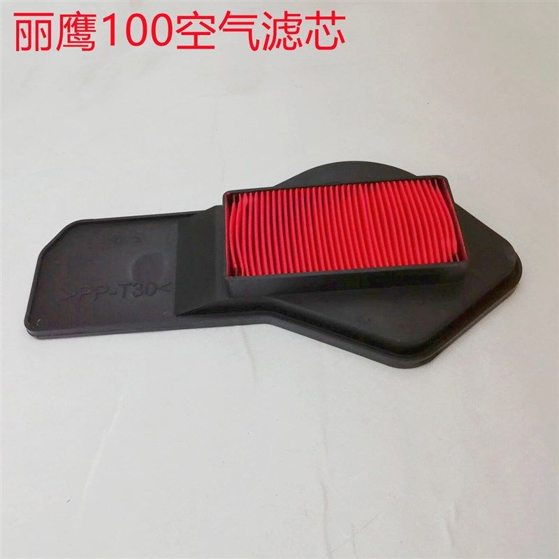 踏板车ZY100T-3/4/7凌鹰悦鹰丽鹰100空气滤芯滤清器空滤器