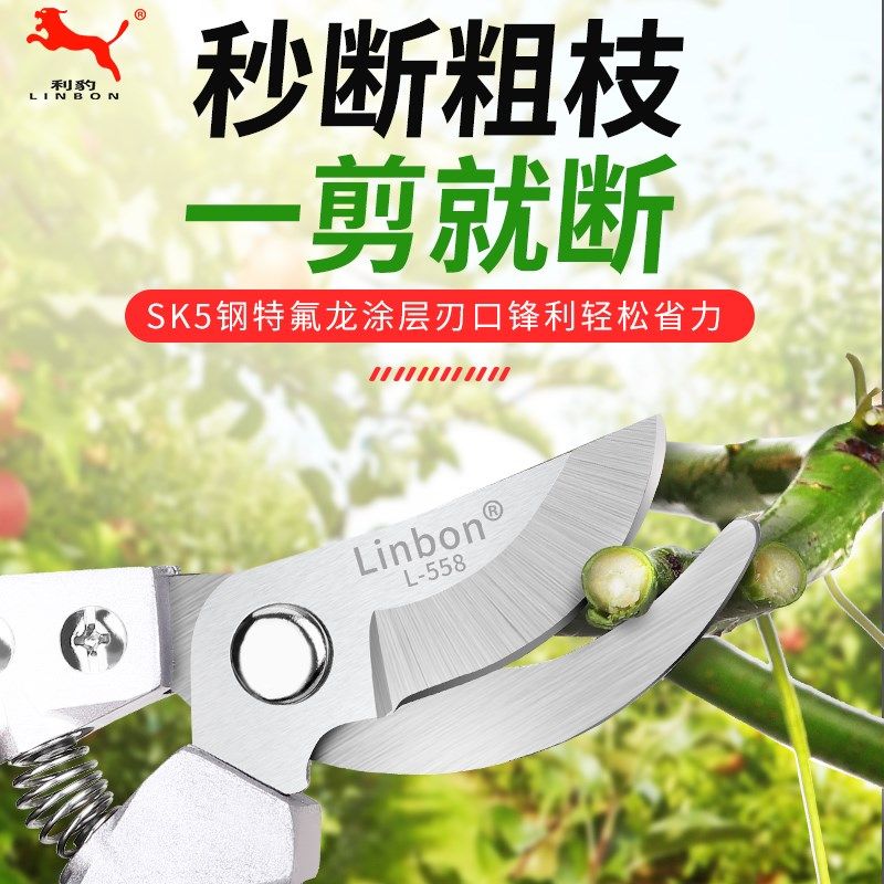 德国利豹剪枝果树修枝剪刀园艺修剪树枝园林省力修花枝剪家用工具