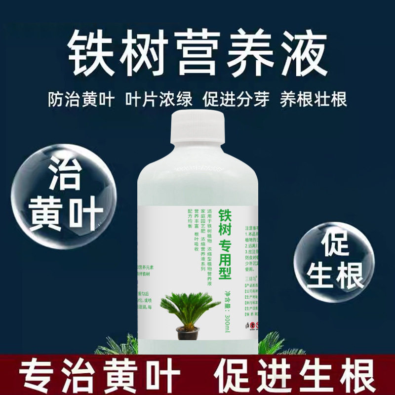 铁树专用型营养铁树盆景肥料苏铁树盆栽专用肥料防黄叶干枯专用HF