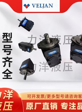 印度VELJAN维京双联连叶片泵VT6C-017/14/20-1R03-B1 1R00 2R03
