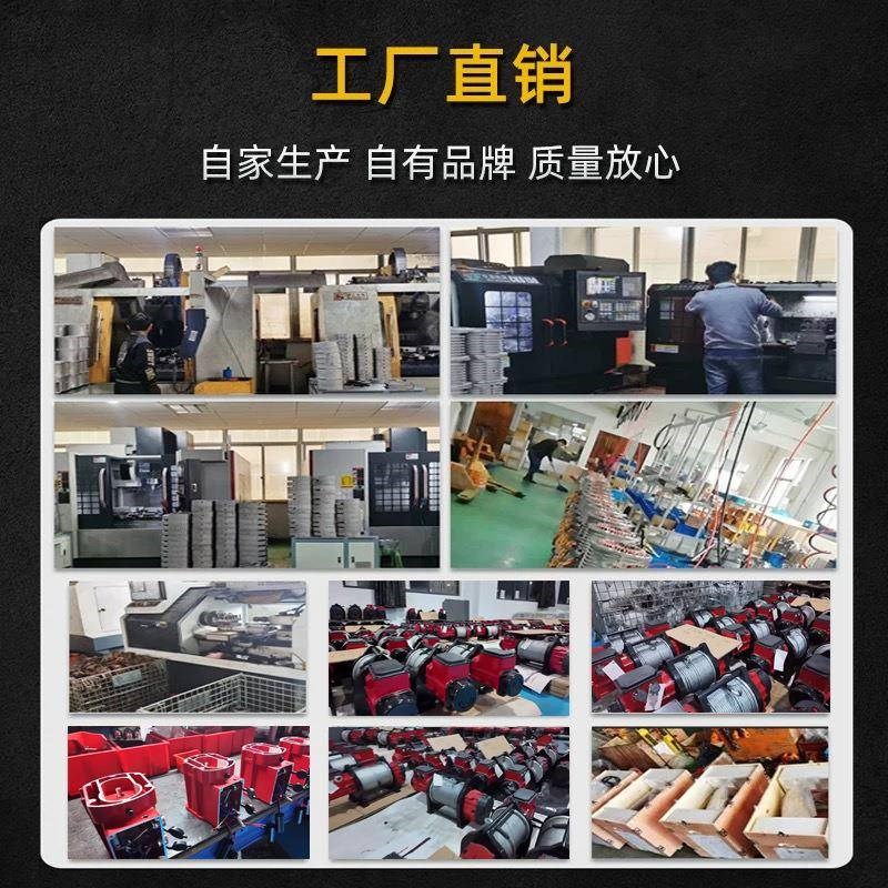 定制环炼电动葫芦220v2吨1吨变频可调速小型吊机倒炼提升机吊葫芦