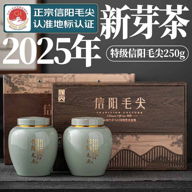 豫贡信阳毛尖头采明前嫩芽250g