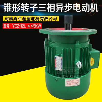 真牛电机YEZ112L-4/4.5KW法兰250mm锥形转子三相异步电动机