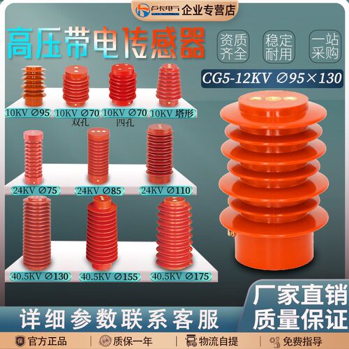 CG5-10Q/95140高压传感器10KV带电显示器装置6KV一拖二环氧树脂