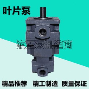 2.5 6.3 100 永灵叶片泵YB1