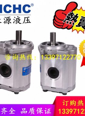 合肥长源齿轮泵HCHC;CBTC-F410-AFΦ齿轮油泵;CBTC-F420-AFΦ