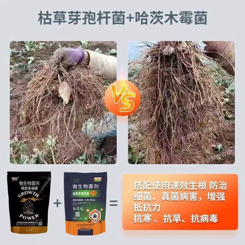 哈茨木霉菌剂枯草芽孢菌杆菌叶面水溶肥防根腐微生物菌剂生根壮苗,基础建材,涂料添加剂,淘宝优惠券,粉丝福利购,淘宝优惠卷