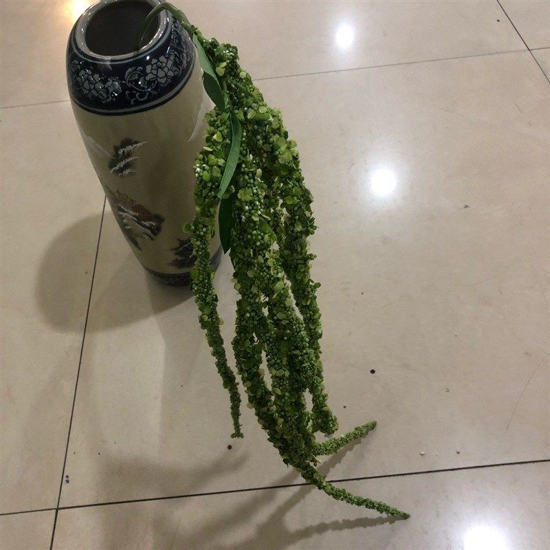 新款 彷真8叉情人果垂鸡冠情人泪泡沫浆果垂吊假花装饰紫藤果彷真