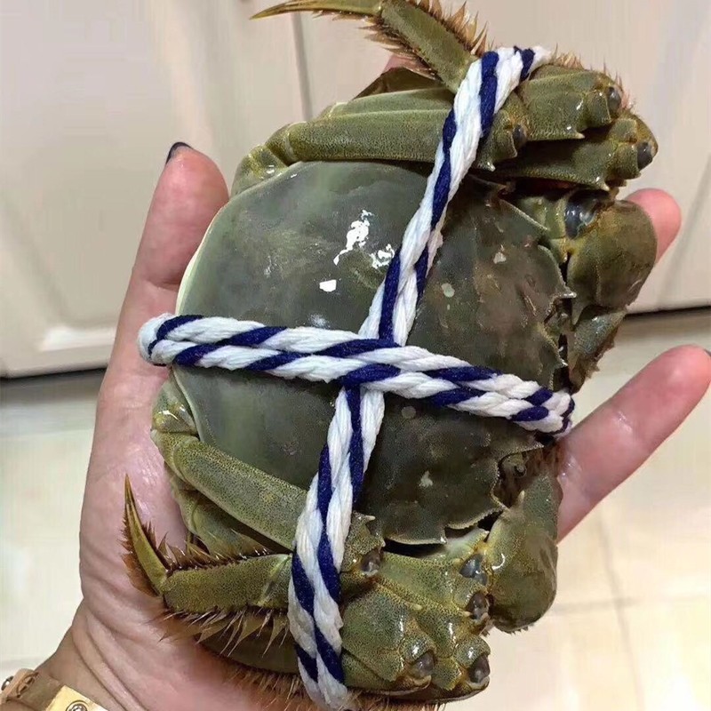 绑蟹专用绳捆蟹绳大闸蟹绳子定制粗度青蟹绳扎蟹绳子打包绳,居家布艺,绳子,淘宝优惠券,粉丝福利购,淘宝优惠卷