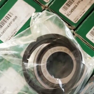 德国 SL满装滚子轴承 SL182928 SL182930 SL182932 SL182934