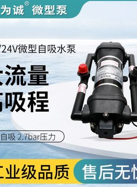 装载机除尘水泵 新为诚12v24v隔膜电动自吸泵BSP27250S直流水泵