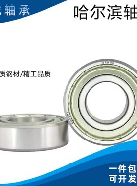 哈尔滨BRHRB轴承 6818 6819 6820 6821 6822 6824 -2Z/RS1/C3现货