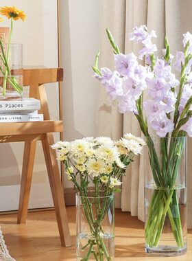 防摔PC非亚克力透明玻璃直筒雪柳落地插花瓶摆件客厅水养马醉木大