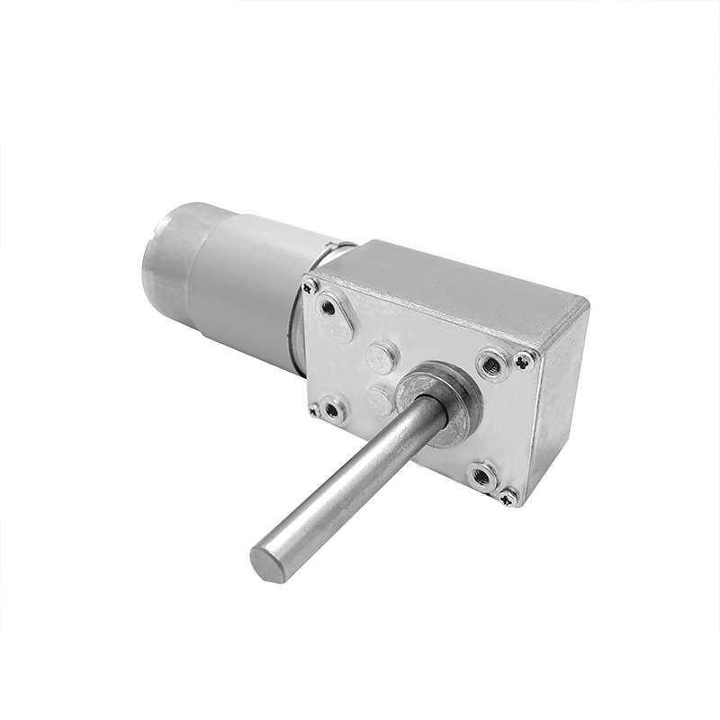 5840-555直流减速电机24V带自锁大扭力金属齿轮蜗轮蜗杆微型电机