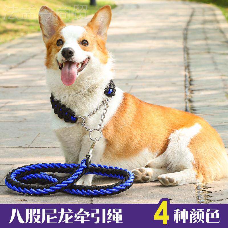 宠物牵引绳彩色大八股尼编织 型龙犬用半控制狗喵心宝防冲爆狗牵