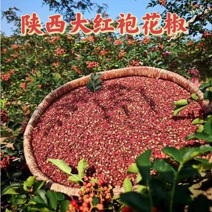 陕西渭南大红袍干花椒特麻特香无添加不炸油粒大籽少富平产地直发