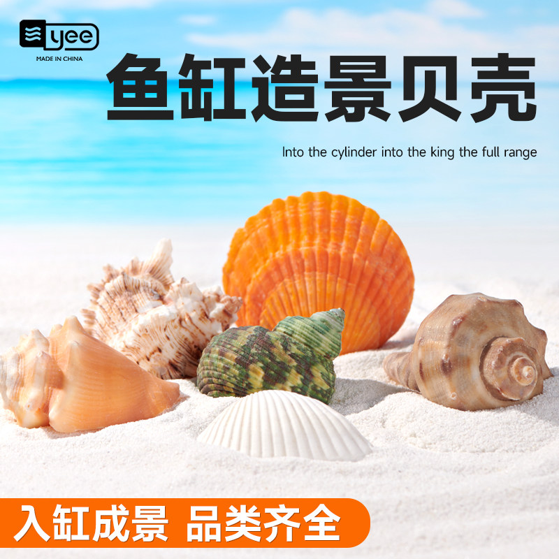 鱼缸造景天然海螺贝壳手工工艺装饰品水族箱底砂造景生态摆件海星