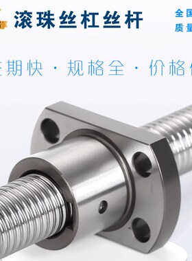 滚珠丝杠BSSC/BSSCK0802 1004 1204 1505 1510 2005 2010 2505