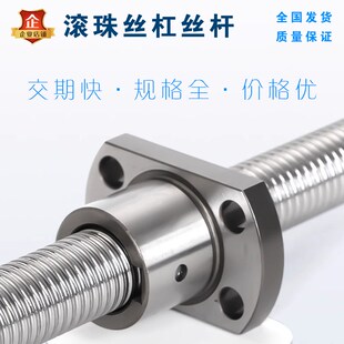 1204 1505 1510 滚珠丝杠BSSC 2010 1004 2005 2505 BSSCK0802